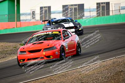 media/Feb-25-2024-Speed Ventures (Sun) [[b9a2a97a4d]]/Mustang Drivers Club/Session 1 (Turns 4 and 5)/
